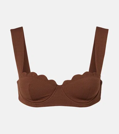 Marysia North Scalloped Bikini Top In Brown