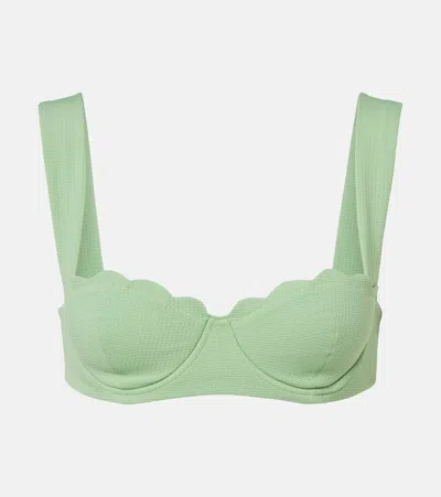 Marysia North Scalloped Bikini Top In Green