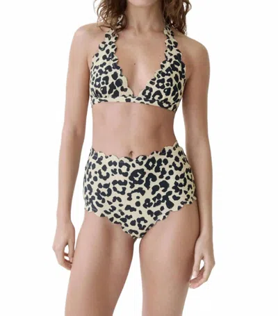 Marysia Santa Monica Bikini Bottom In Cheetah In Multi