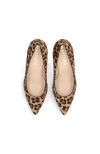 Mascaro Leopard Pointed Toe Pump In Multi