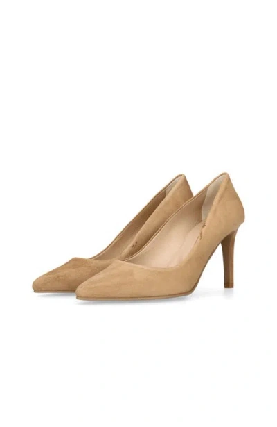 Mascaro Suede Pointed Toe Pump In Brown