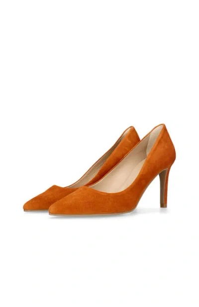 Mascaro Suede Pointed Toe Pump In Brown