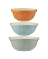 Mason Cash Home To Roost Mixing Bowls, Set Of 3 In Multi