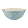 Mason Cash Home To Roost Size 18 Mixing Bowl, 2.85 Quart