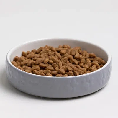 Mason Cash : Paw Print Pet Saucer - Grey - 5.2", 6.8oz - Cat Food-water Dish, Ceramic Stoneware, Microwave-dish In Gray