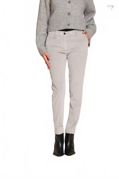 Mason's New York Slim Velvet Pant In Gray