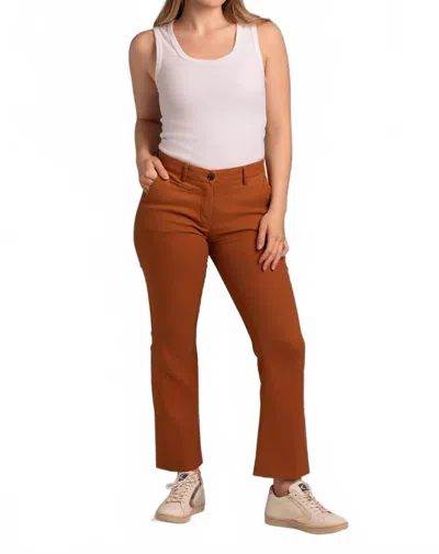 Mason's New York Trumpet Chino Pants In Rust In Brown