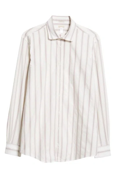 Massimo Alba Canary Stripe Cotton Poplin Button-up Shirt In White/walnut