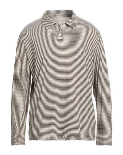Massimo Alba Man Polo Shirt Beige Size Xs Cotton In Neutral