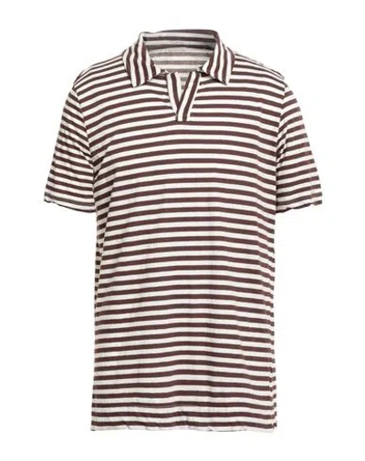 Massimo Alba Man Polo Shirt Chocolate Brown Size 3xl Cotton, Linen In Neutral