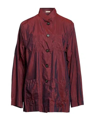 Massimo Alba Woman Jacket Brick Size Xl Cotton, Silk In Brown
