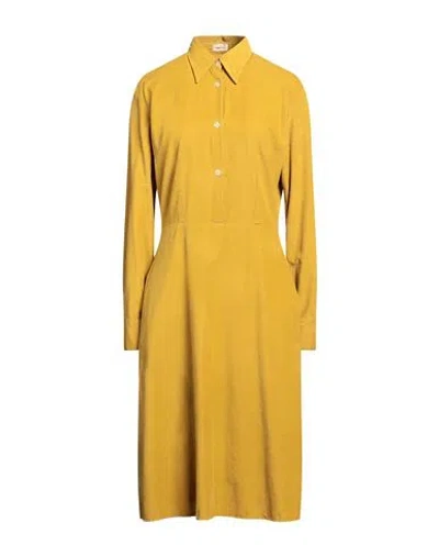 Massimo Alba Woman Midi Dress Mustard Size M Cotton In Yellow