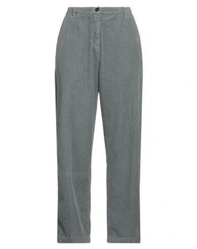 Massimo Alba Woman Pants Grey Size 8 Cotton In Grey