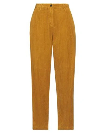 Massimo Alba Woman Pants Marigold Size 6 Cotton In Yellow