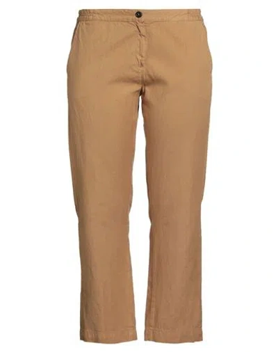Massimo Alba Woman Pants Mustard Size 10 Cotton, Linen In Brown