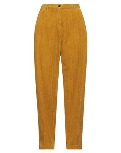 Massimo Alba Woman Pants Mustard Size 6 Cotton In Brown