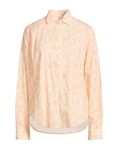 Massimo Alba Woman Top Apricot Size Xl Cotton, Cashmere In Orange