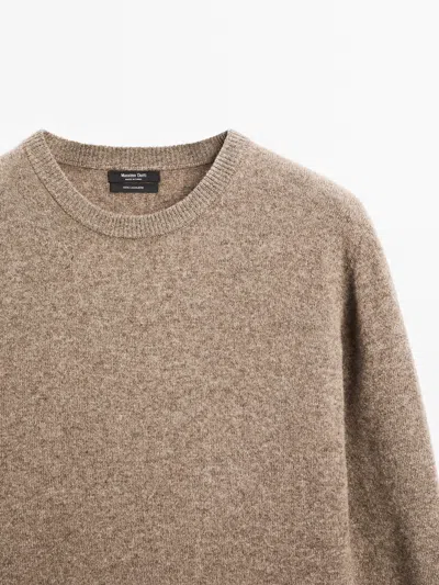 Massimo Dutti 100% Cashmere Long Sleeve Sweater In Brown