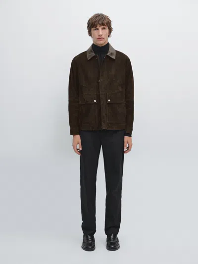 Massimo Dutti 100% Cotton Jogger Fit Trousers In Brown