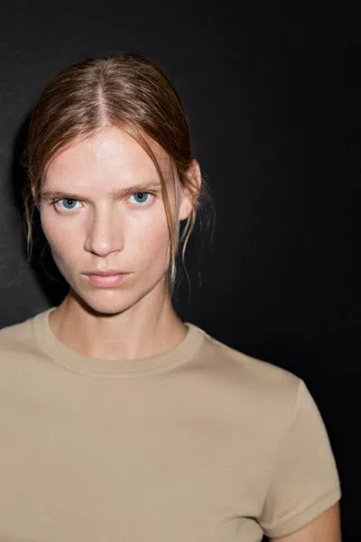 Massimo Dutti 100% Cotton Short In Brown