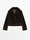 Massimo Dutti In Brown