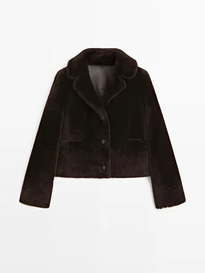 Massimo Dutti In Brown