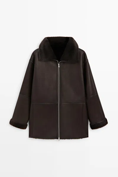 Massimo Dutti In Bruin