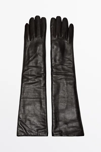 Massimo Dutti In Bruin