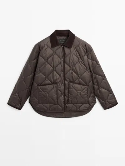 Massimo Dutti Chaqueta Acolchada Detalle Pana Water Repellent In Brown