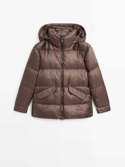 Massimo Dutti Chaqueta Plumífero Shiny Water Repellent In Brown