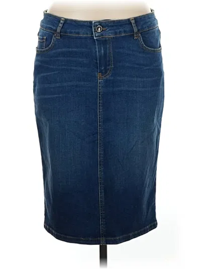 Pre-owned Massimo Dutti Denim Skirt In Blue