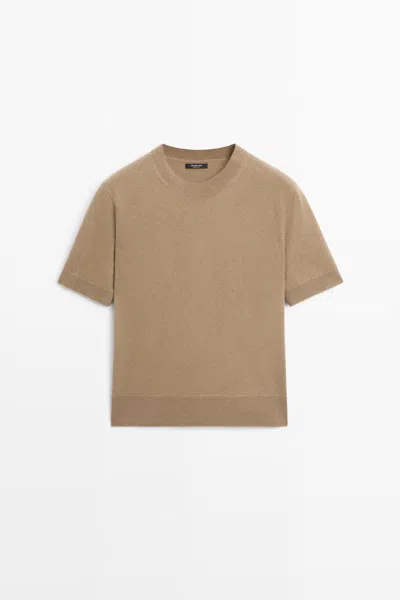 Massimo Dutti In Brown