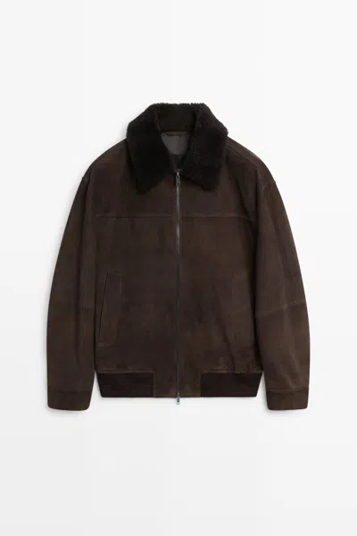 Massimo Dutti Jacket With Suede Collar Detail In Chocolate