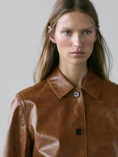 Massimo Dutti Nappa Leather Jacket In Brown