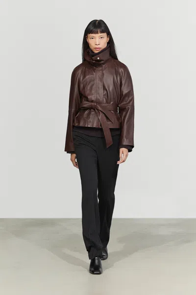 Massimo Dutti In Brown