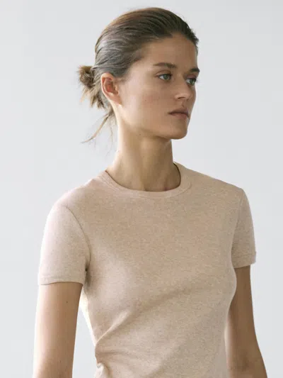 Massimo Dutti Short Sleeve Cotton T In Neutral