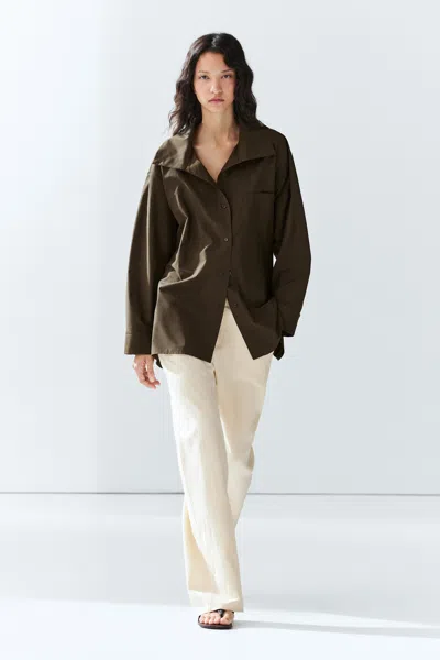 Massimo Dutti Stand In Brown