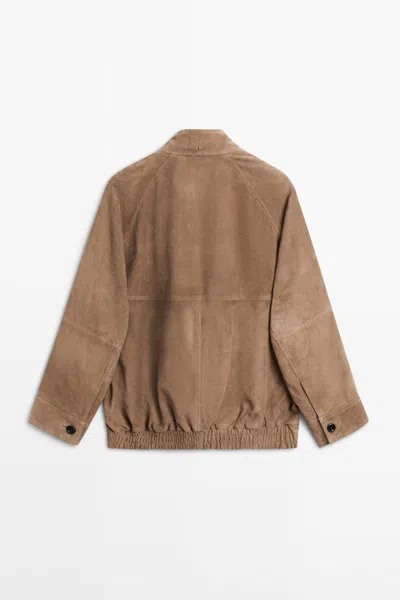 Massimo Dutti Suede Leather Bomber Jacket With Scarf Detail In Brown