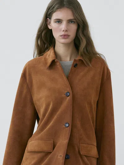 Massimo Dutti Suede Leather Jacket In Brown