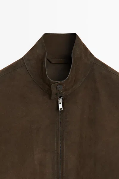 Massimo Dutti Suede Leather Jacket In Brown