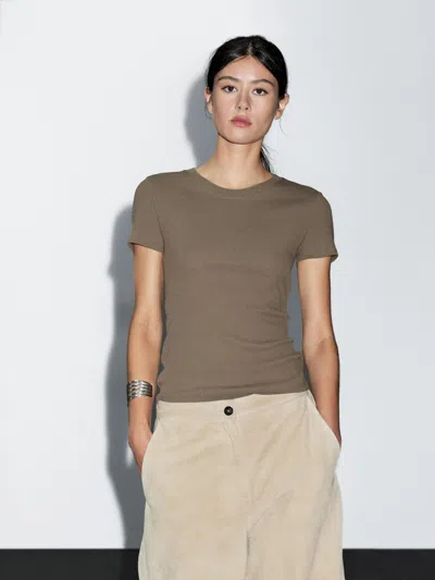 Massimo Dutti Textured Crepe In Brown