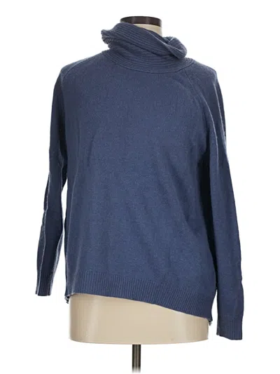 Pre-owned Massimo Dutti Turtleneck Sweater In Blue