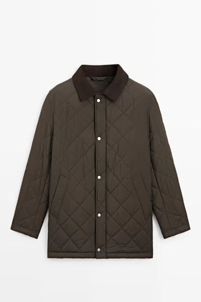 Massimo Dutti In Brown