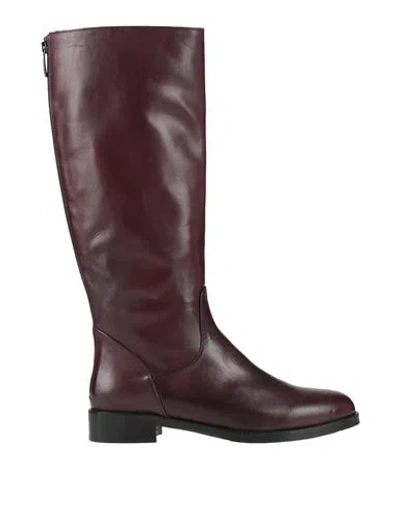 Massimo Santini Woman Boot Plum Size 11 Calfskin In Purple