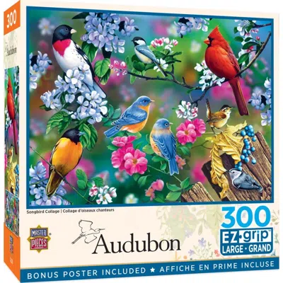 Masterpieces Audubon Singbird Collage Ezgrip Puzzle 300 Piece