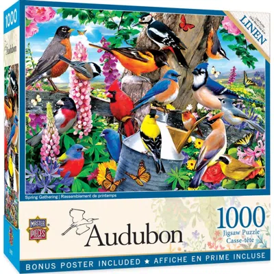 Masterpieces Audubon Spring Gathering Puzzle 1000 Piece