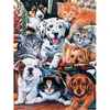 Masterpieces Hide And Seek Puzzle - 300 Ez Piece