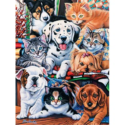 Masterpieces Hide And Seek Puzzle - 300 Ez Piece