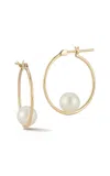 Mateo 14k Yellow Gold Pearl Hoop Earrings