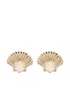 Mateo 14kt Yellow Gold Small Venus Shell Earrings In Gold